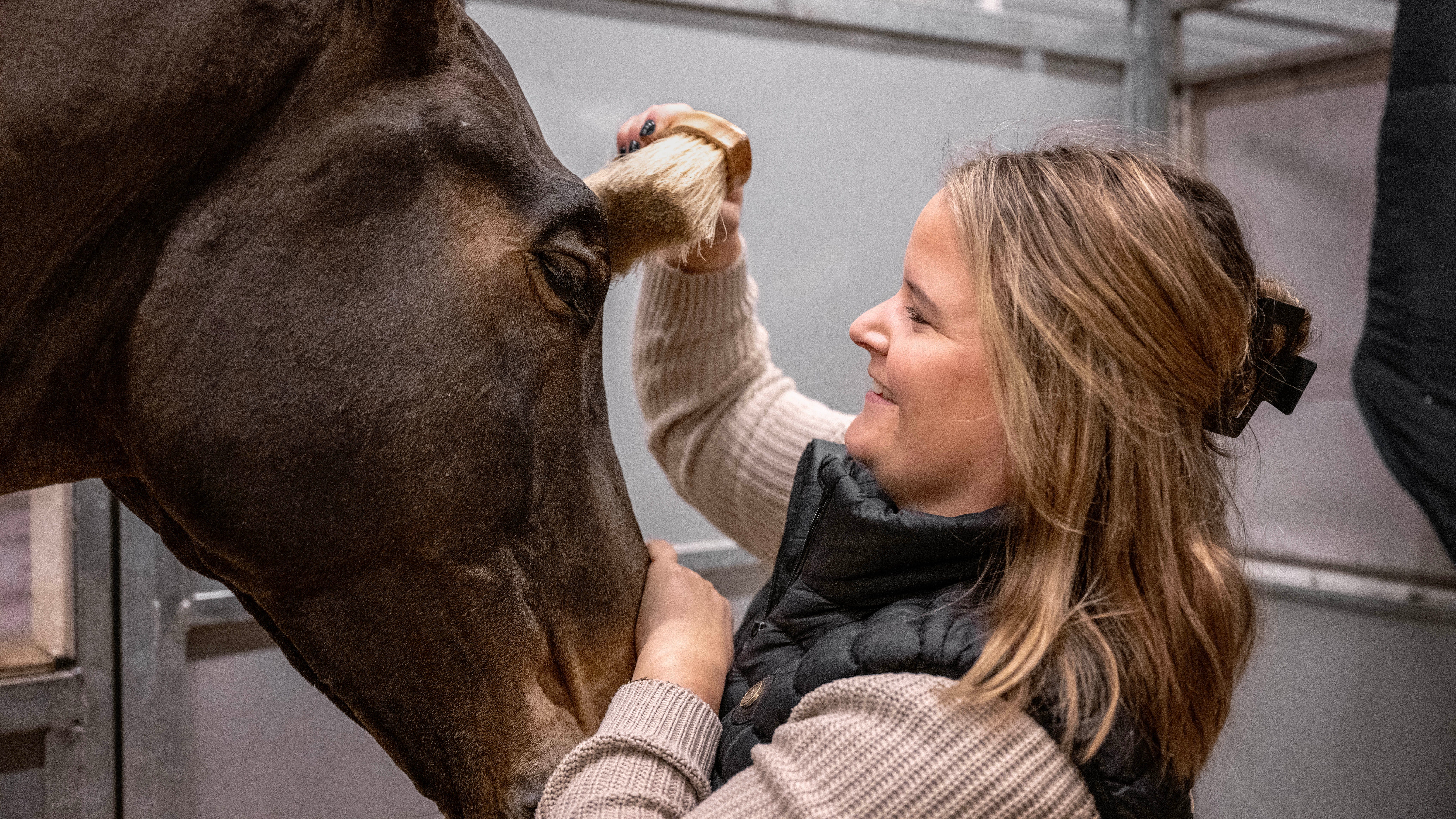 Skinnende pels og gull: dette er hvordan hester blir konkurransedyktige