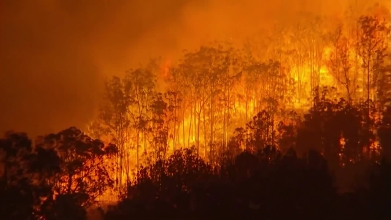 Tre döda i skogsbränder i New South Wales i Australien - DN.SE