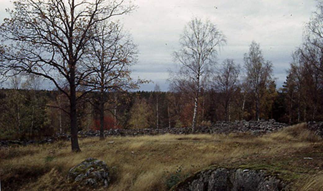 Kung Ingjald Illrådes sista bloss DN.se