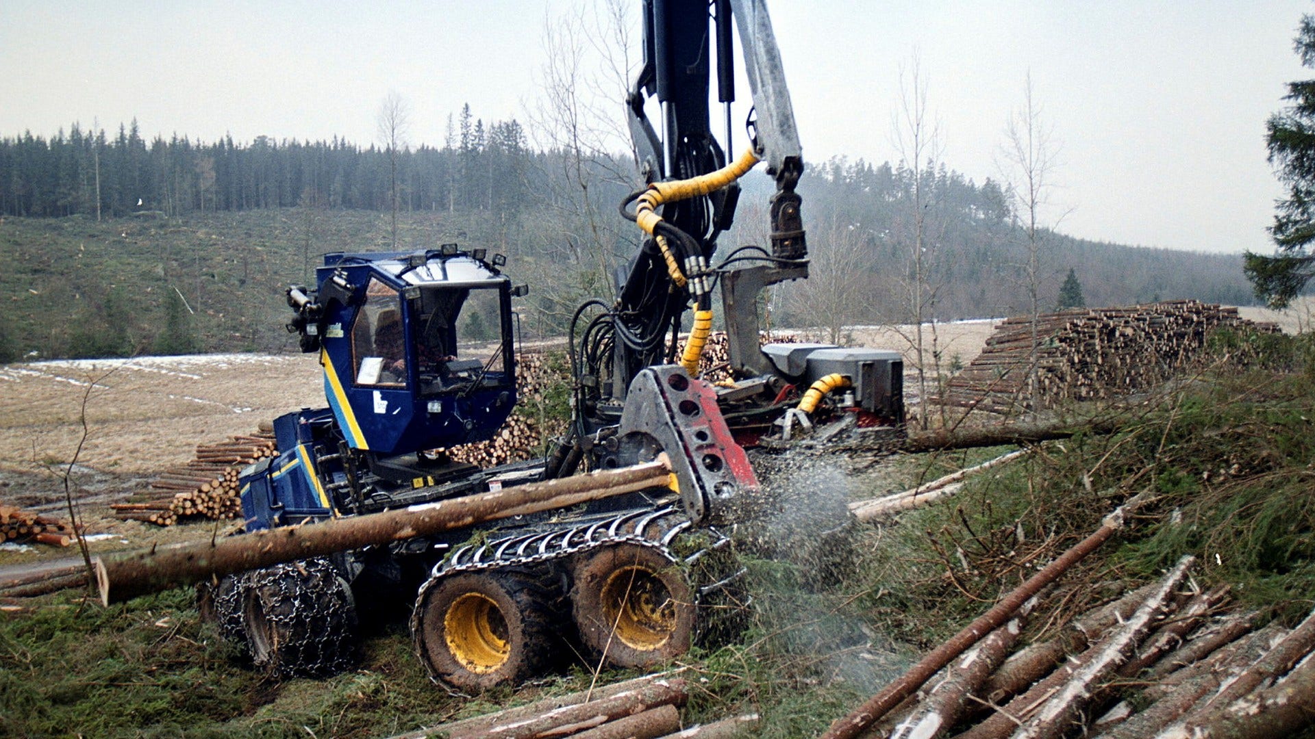 En skogsmaskin av typ skördare slutavverkar ett skogsparti i Värmland.