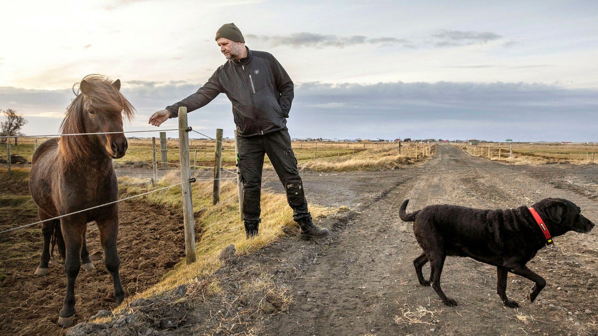 Kari Gudmundsson och hans familj har räddat nästan 50 hästar undan vulkanen som hotar Grindavik. De har fått plats för både sig själva och hästarna på hästgården Solvangur i Eyrarbakki.