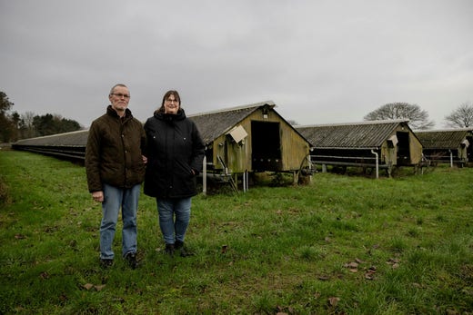 Sedan två år är det tomt i minkhallarna hos Sten och Birgit Holst på Själland. Det var den 4 november 2020 som Danmarks statsminister lät meddela att landets samtliga minkar skulle avlivas för att stoppa smittspridningen.
