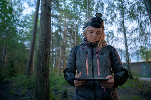 Denise Persson tror att det ökande intresset för fladdermöss beror på att folk blir mer och mer medvetna om den biologiska mångfaldens betydelse och om klimathotet.