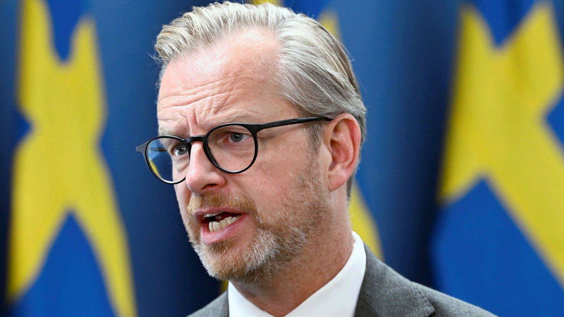 Finansminister Mikael Damberg.