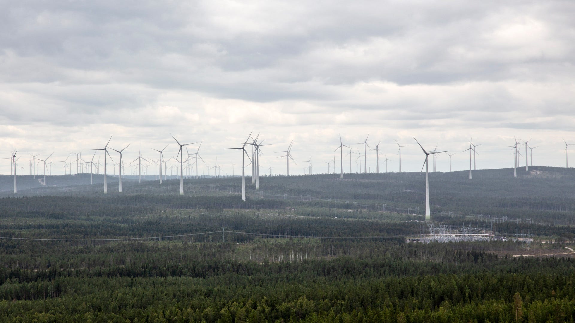 Vindkraftverk sedda från berget Kalahatten i Piteå kommun.