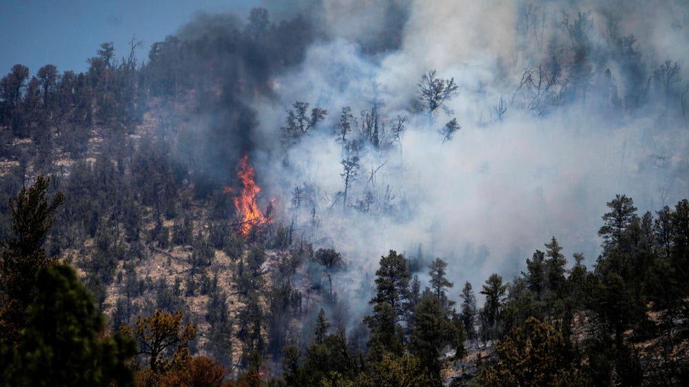Skogsvårdares eldningar orsakade rekordbrand i New Mexico
