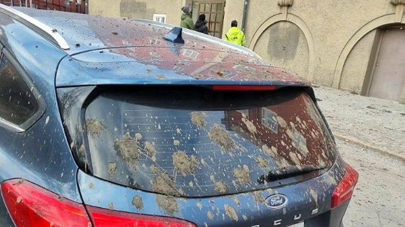 Hundbajs regnade ner över gatan efter sprängningen. En bil blev rejält drabbad vid tillfället.