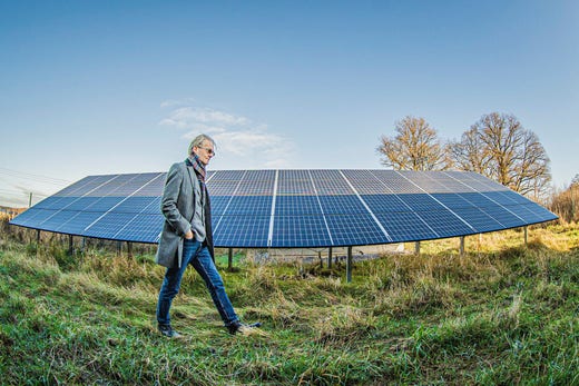 Förutom energiproduktion används marken på HSB:s solcellspark i Strängnäs även till att främja artrikedom i området.