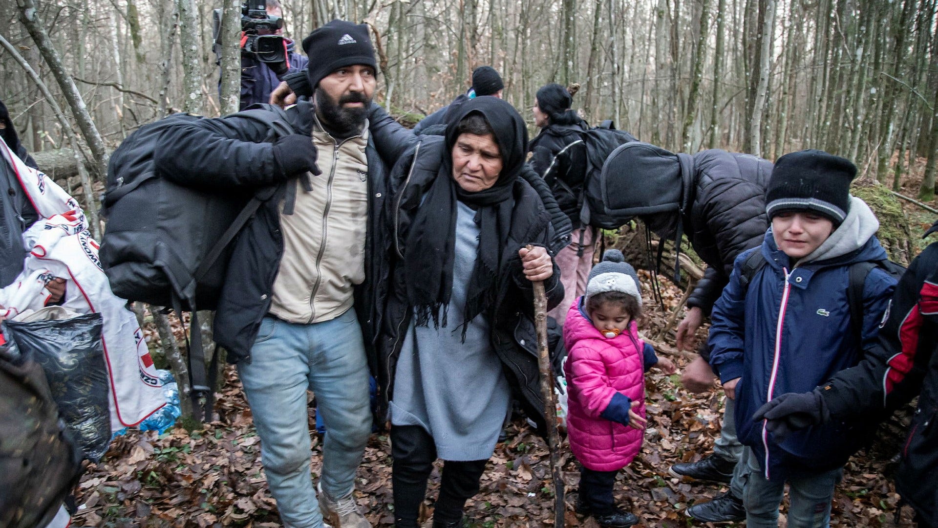 Efter tre veckors umbäranden i Białowieża-skogen ska den kurdiske flyktingen Anwar Hamid, hans rörelsehindrade mor och den övriga storfamiljen ansöka om politisk asyl i Polen.