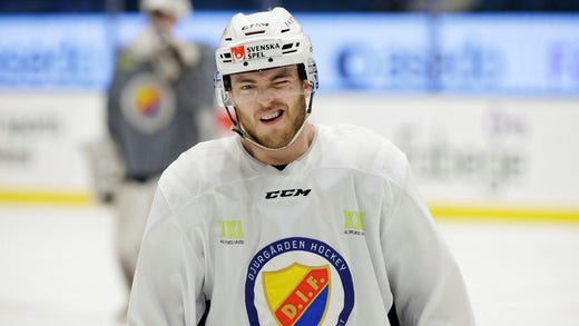 During the playoffs, Emil Berglund emerged as a somewhat unexpected scorer for Djurgården.  In the team's ten playoff games, he has managed to score five goals and play in three more.