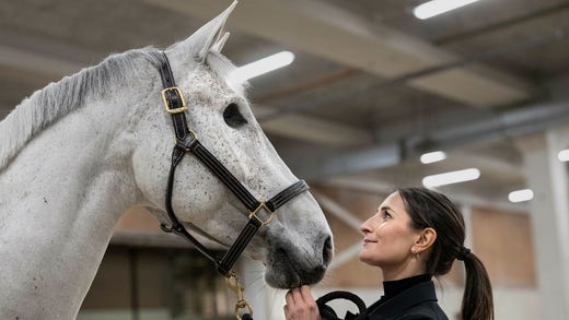 Hoppryttaren Wilma Hellström och hästen Cicci, som förlorade sitt högra öga i samband med en olycka i stallet, har ett varmt och nära band efter sju år tillsammans.