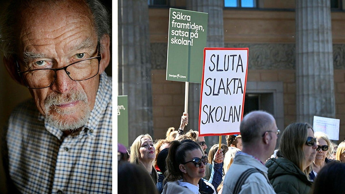 Forskaren: Svensk skola bättre än många tror