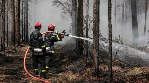 I vigili del fuoco prendono parte ai lavori di post-estinzione dopo un incendio boschivo a Belen-Bellet, nel sud-ovest della Francia.