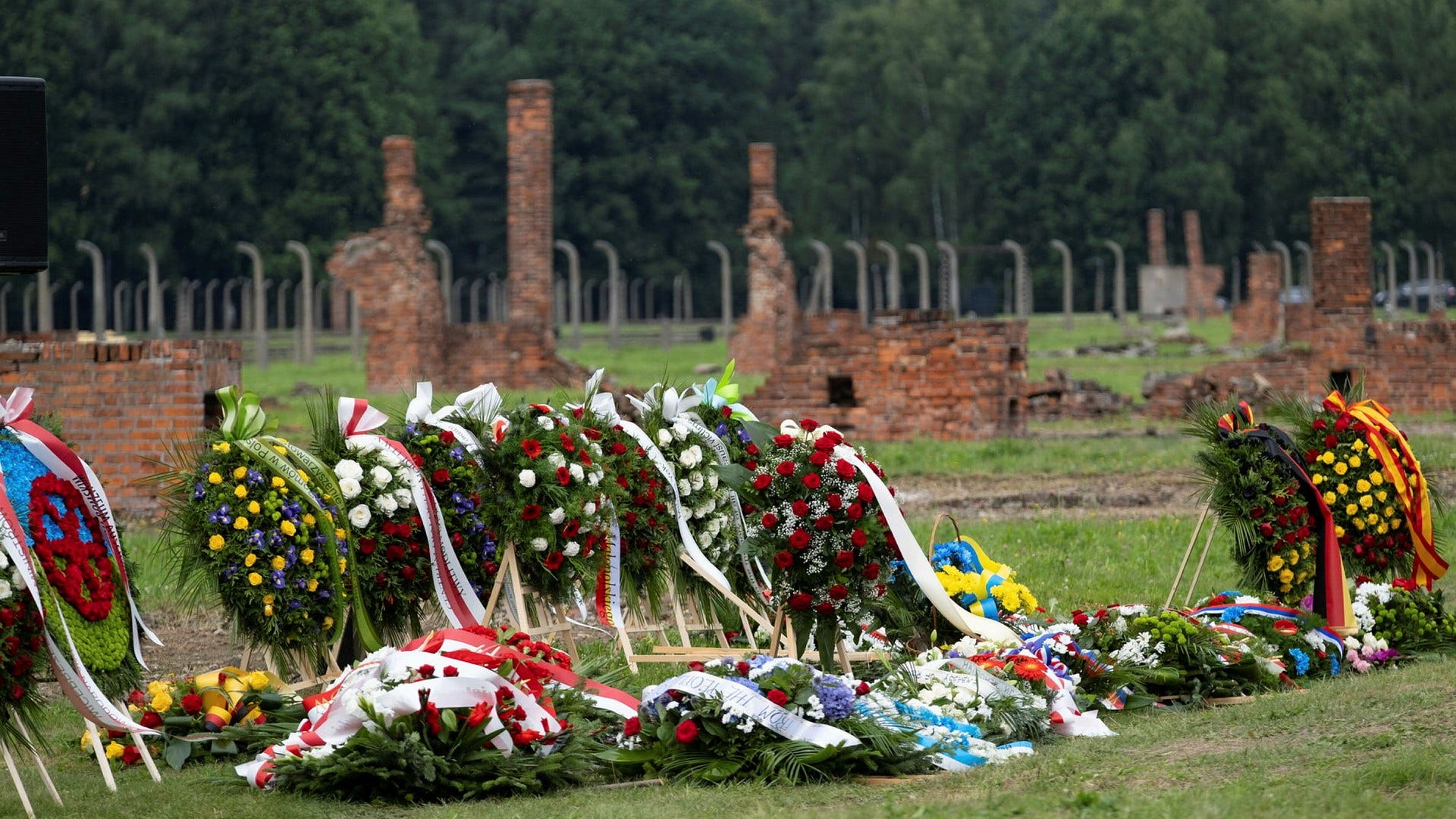 Kransar och blommor ligger på gräset vid det tidigare lägret Auschwitz II Birkenau på folkmordets minnesdag den 2 augusti 2021.