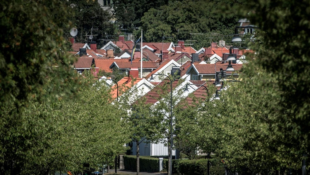 Villorna på bilden har ingenting med artikeln att göra.