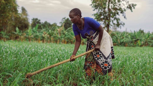 Två miljarder människor saknar trygg tillgång till tillräckligt med mat. Majoriteten av dem lever, liksom bonden Aulelia Leonidas i Tanzania, på landsbygden och livnär sig på jordbruk.