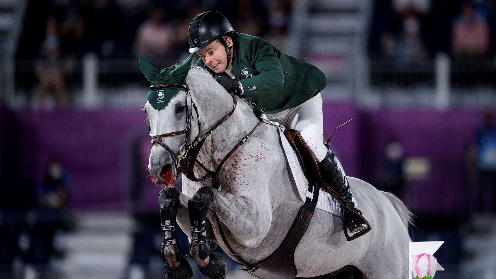 Back after the blood ride – but the horse is missing in the WC