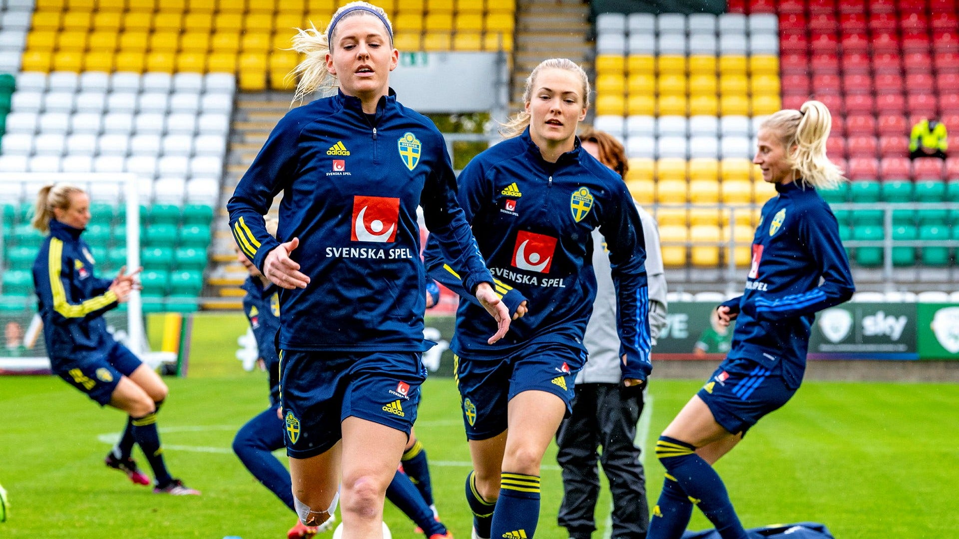 Sverige är storfavorit mot Irland i kvällens VM-kvalmatch.