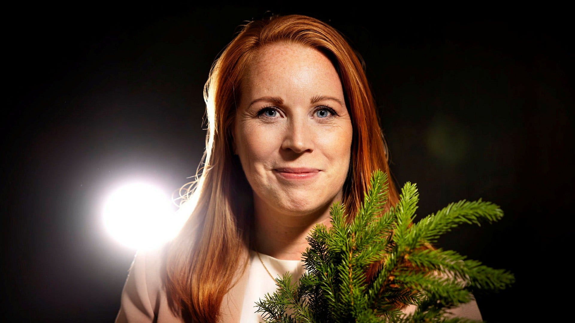 Annie Lööf (C).