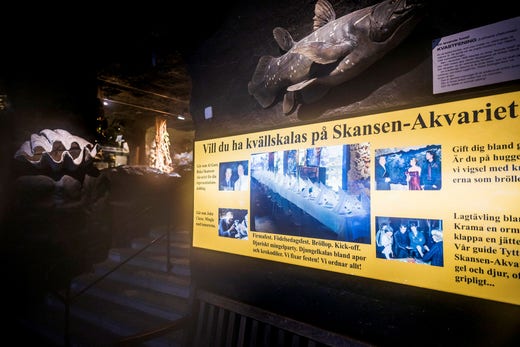 Skansen-Akvariet erbjuder fortfarande kvällsevenemang för företag och privatpersoner.
