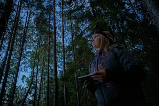 Denise Persson har alltid varit intresserad av djur och natur, men det starka intresset för fladdermöss väcktes med engagemanget för Amaryllisparken.