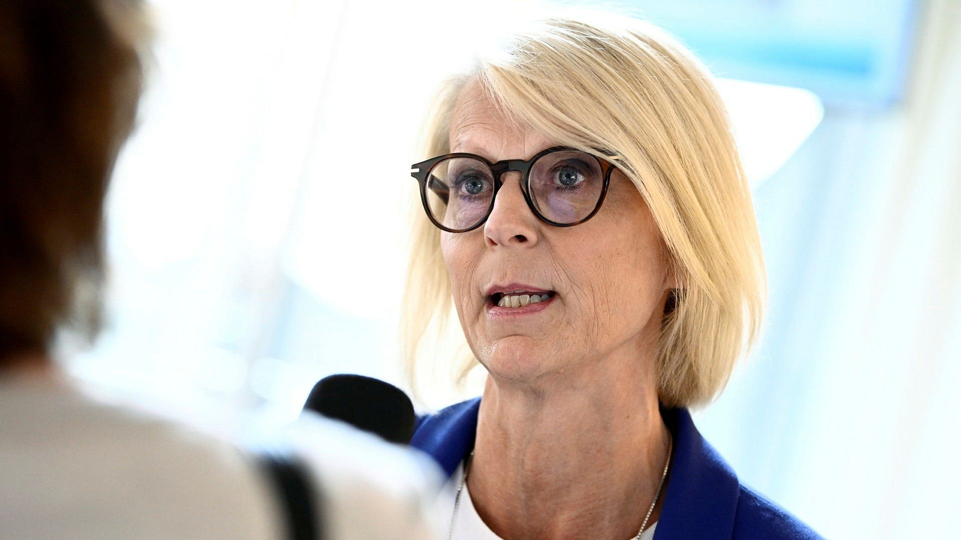 Moderaternas ekonomiskpolitiska talesperson, Elisabeth Svantesson.