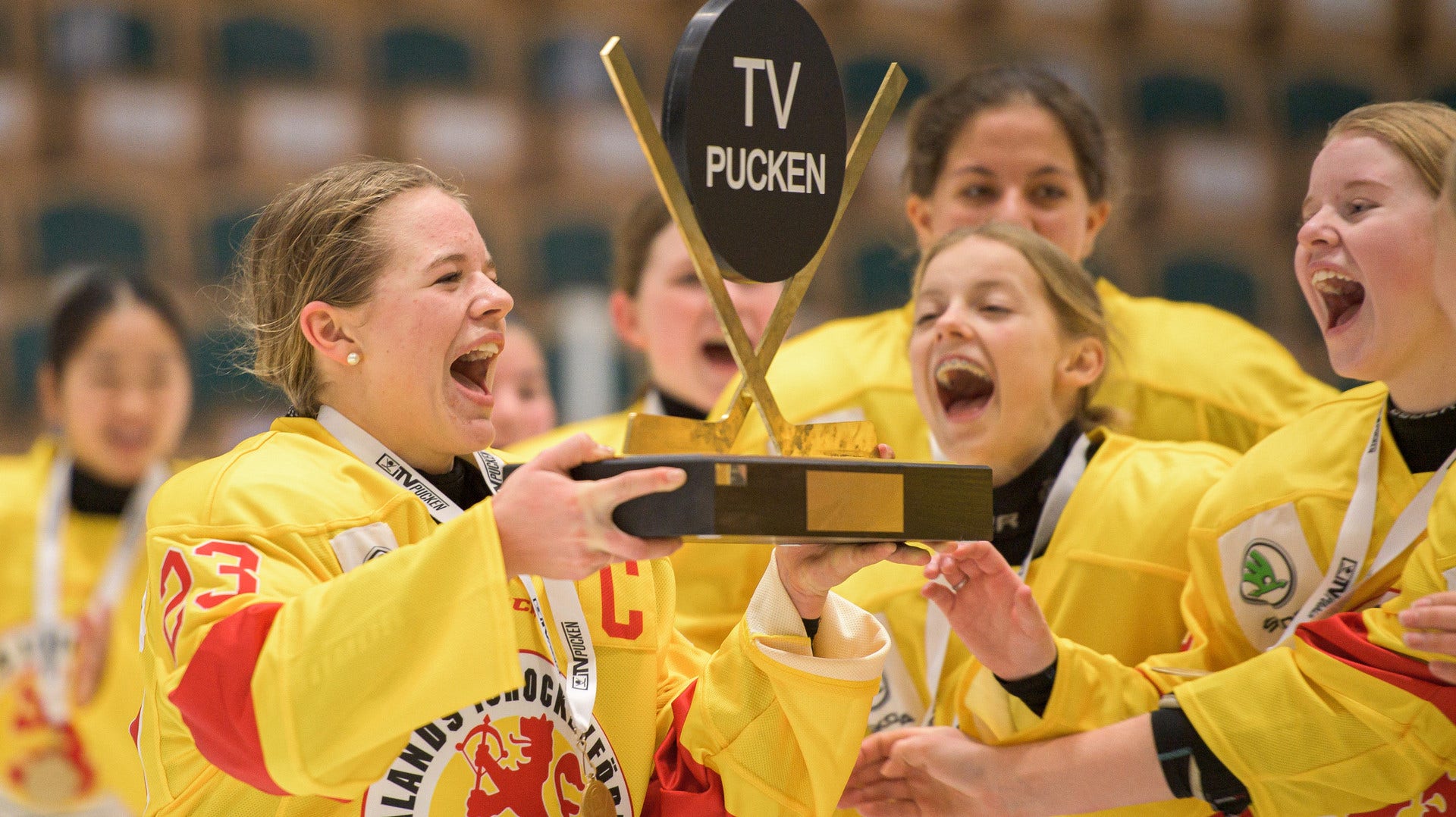 Småland och Stockholm Nord vann tvpucken DN.se