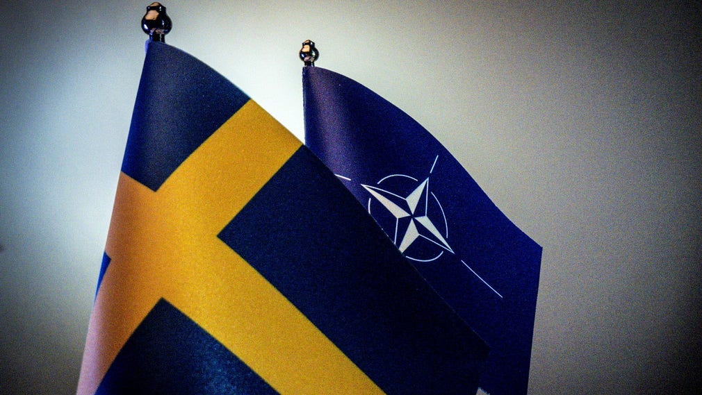 Inget hindrar oss från att hålla en folkomröstning om Nato i samband med valdagen den 11 september, anser insändarskribenten.