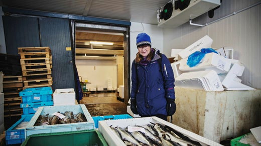 Fresh fish in the fish harbor in Gothenburg.