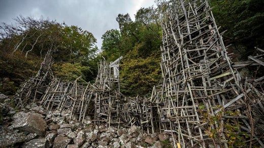 Lars Vilks träkonstverk Nimis i Kullabergs naturreservat.