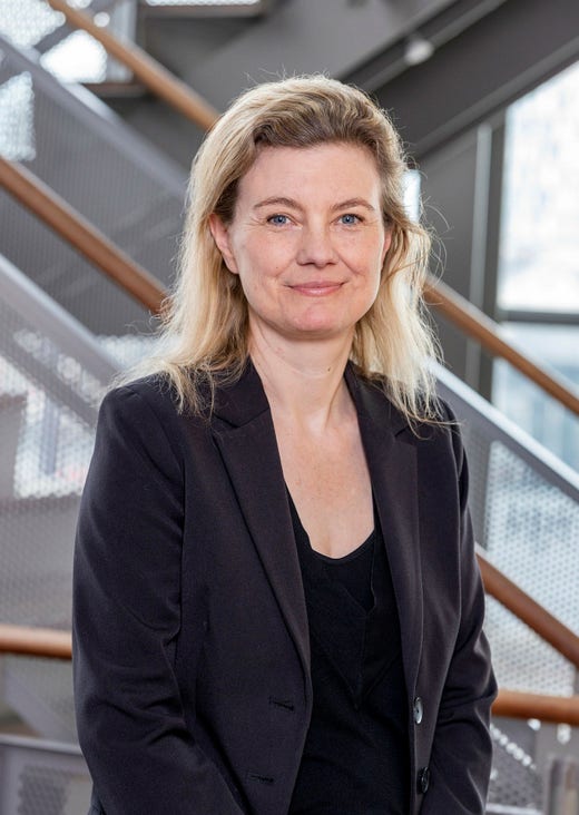 Trine Villumsen Berling, forskare vid Danska institutet för internationella studier, menar att syftet med sabotagen troligen är att skapa en känsla av osäkerhet och rädsla.