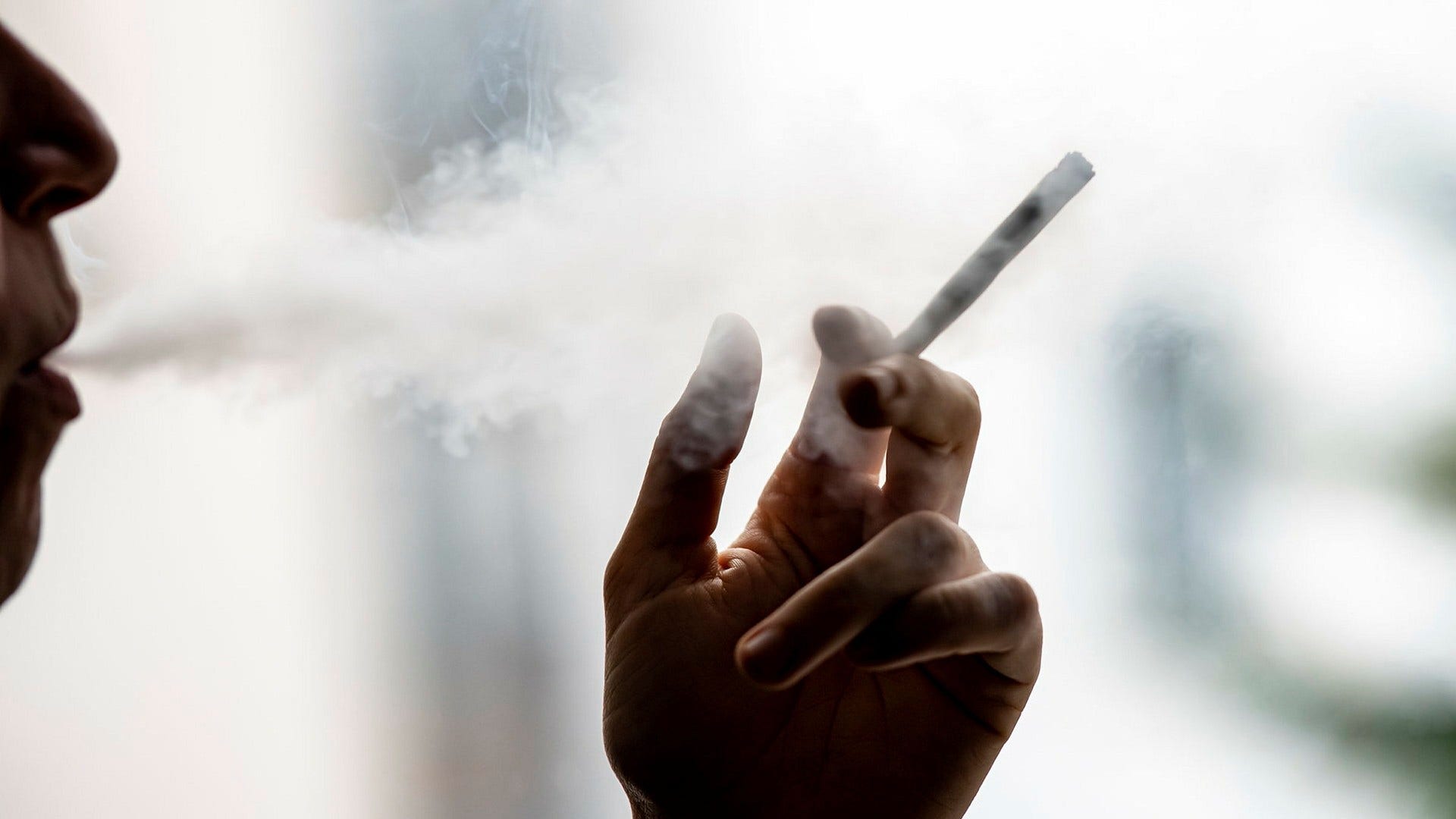 I en enkät som Folkhälsomyndigheten gjorde 2018 svarade 17 procent av kvinnorna och 25 procent av männen i åldrarna 16–29 år att de någon gång hade använt cannabis. Nu måste en nationell kampanj mot knarkande initieras, anser insändarskribenten.
