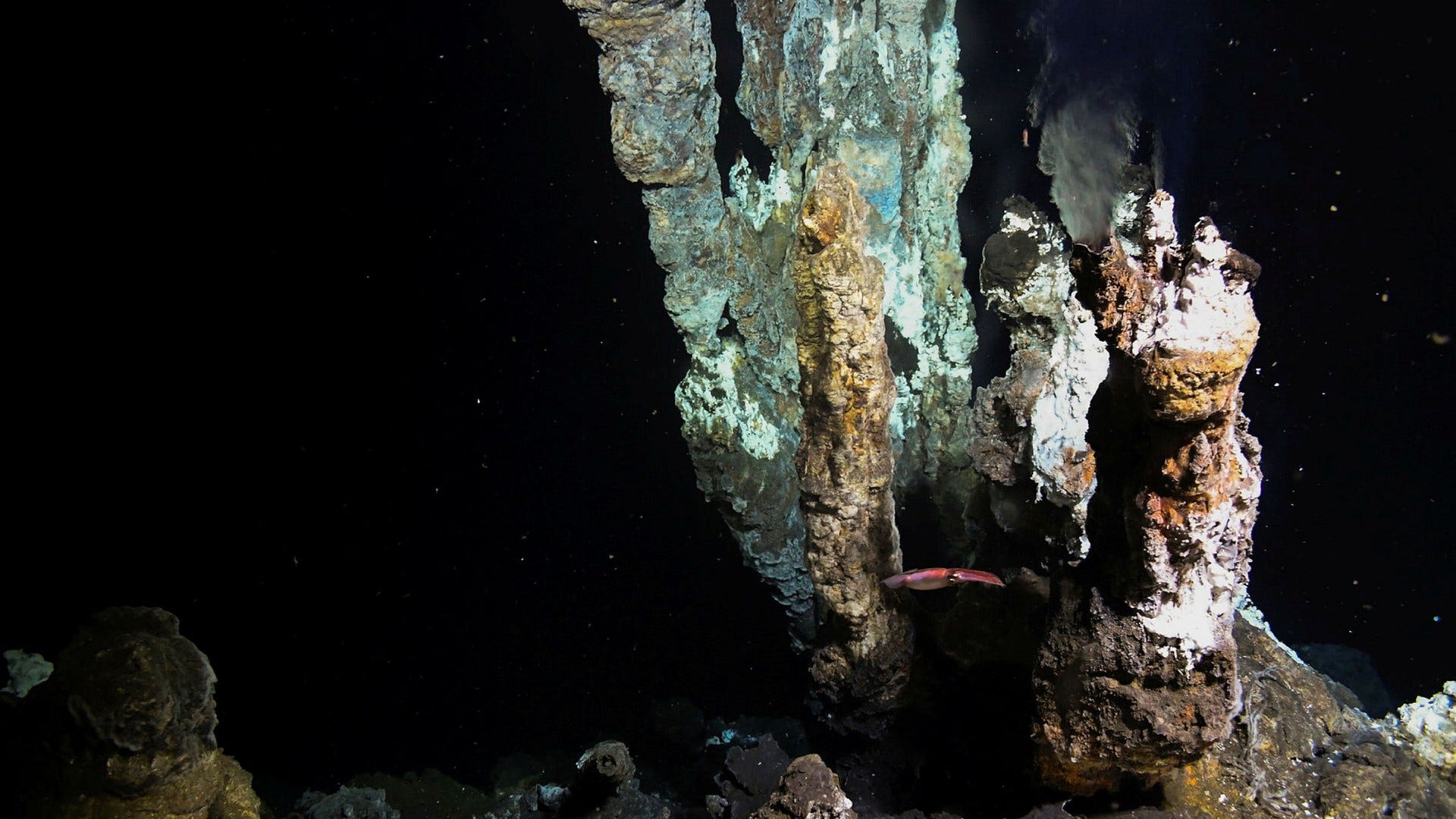 Hydrotermisk öppning där det strömmar ut hett vatten blandat med metaller och mineraler på cirka 500 meters djup.