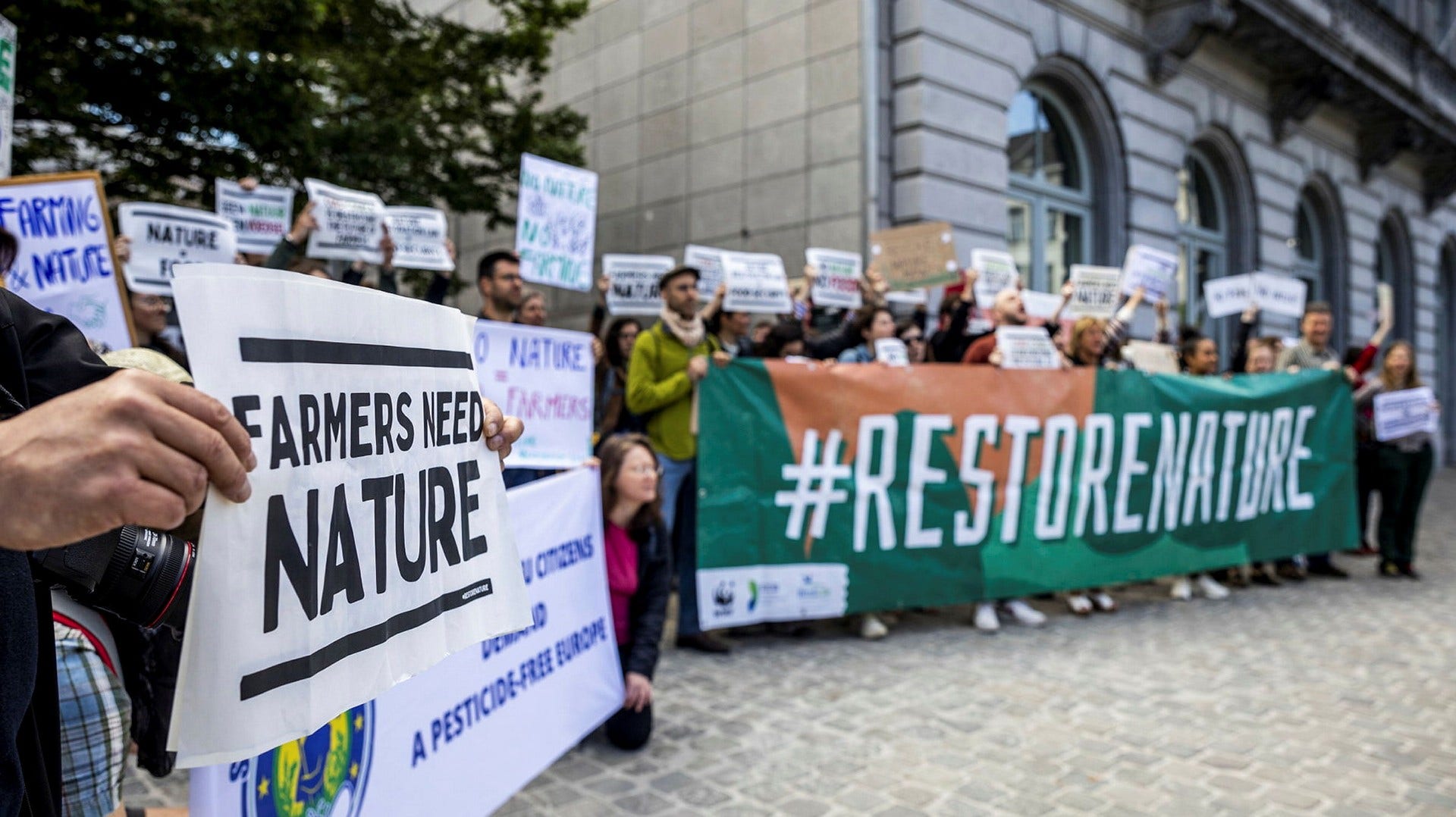 Demonstranter, både för och emot ett lagförslag om att återställa naturmarker, utanför EU-parlamentet där ledamöterna debatterar hur den biologiska mångfalden ska stärkas.