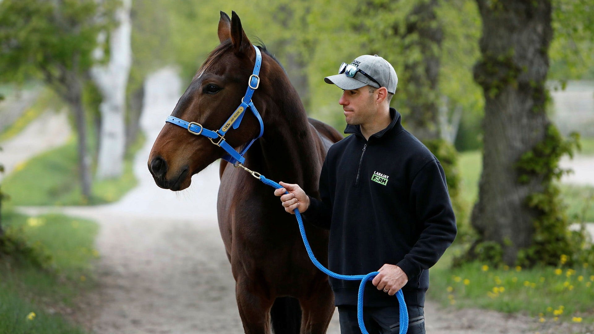Travhästen Just Believe från Australien med kusken Greg Sugars. Hästen står på på Stig H Johansson gård Stora Alby i Upplands Väsby och ska starta i Elitloppet på söndag.