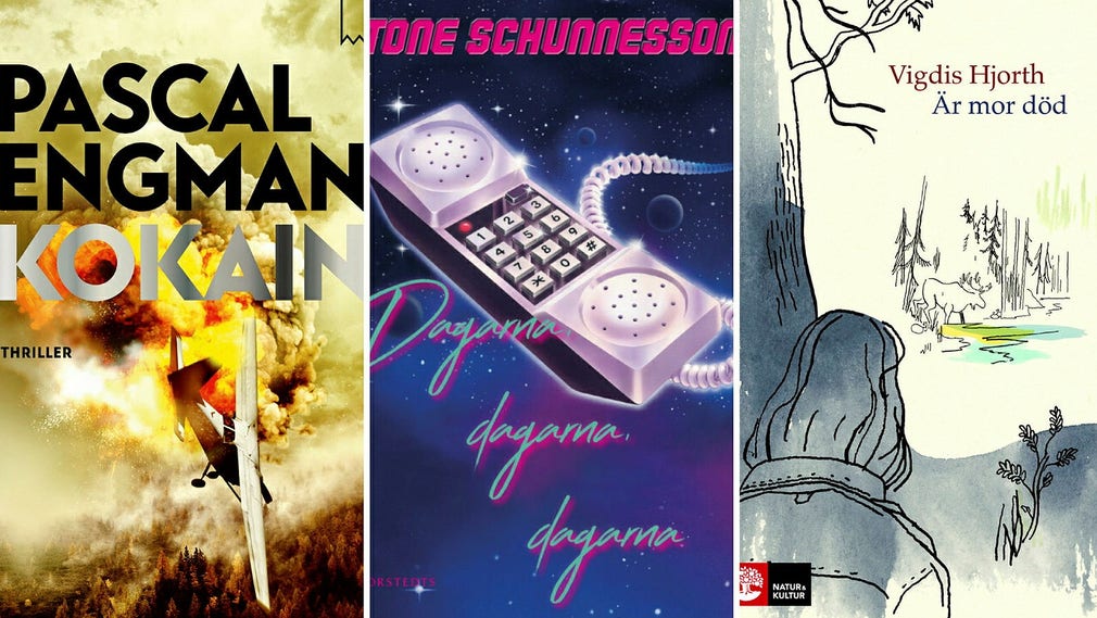 Pascal Engmans ”Kokain”, Tone Schunnessons ”Dagarna, dagarna, dagarna” och ”Är mor död” av Vigdis Hjorth.