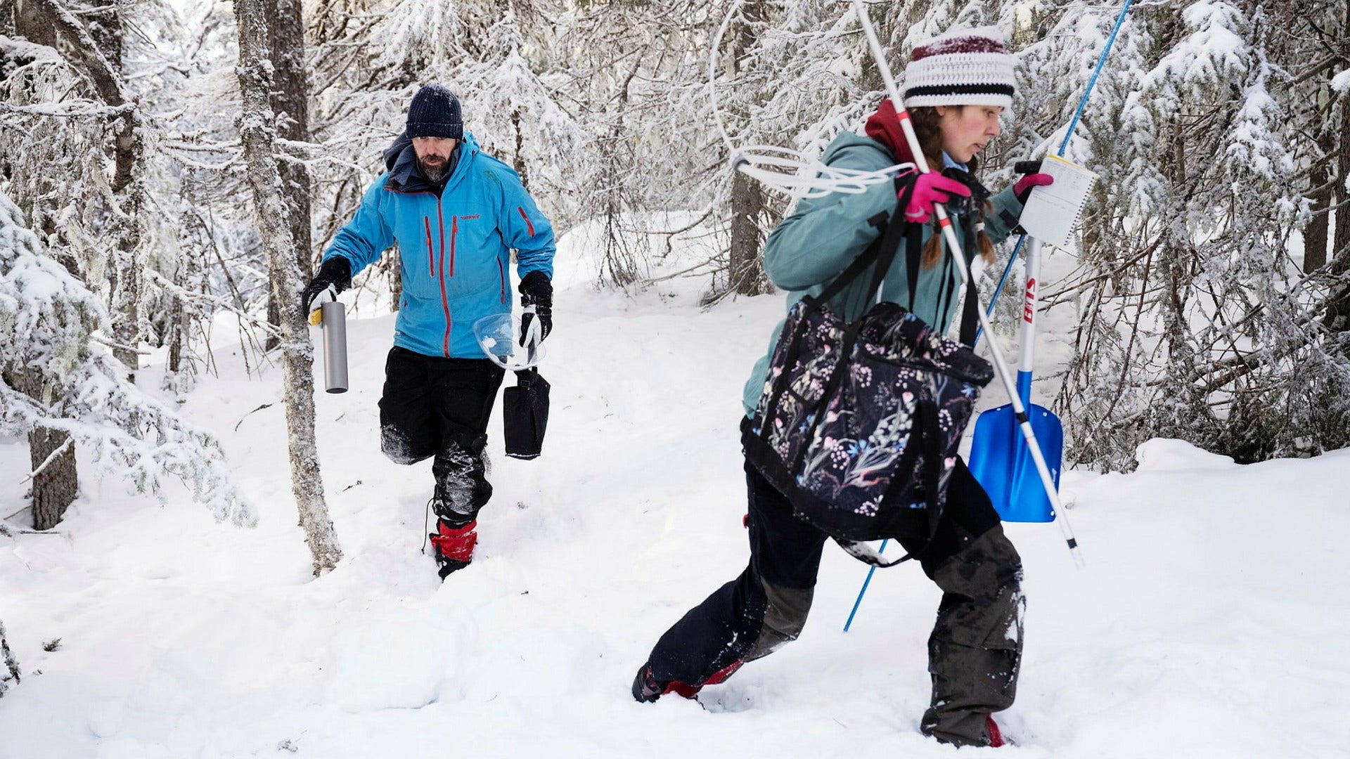 Hanna Axén, Umeå Universitet, studerar gammelskogars kolbalans, här med handledaren Daniel Metcalfe. Båda oroas över att miljö- och klimatforskning tycks ignoreras i allt fler sammanhang, som de ser det.