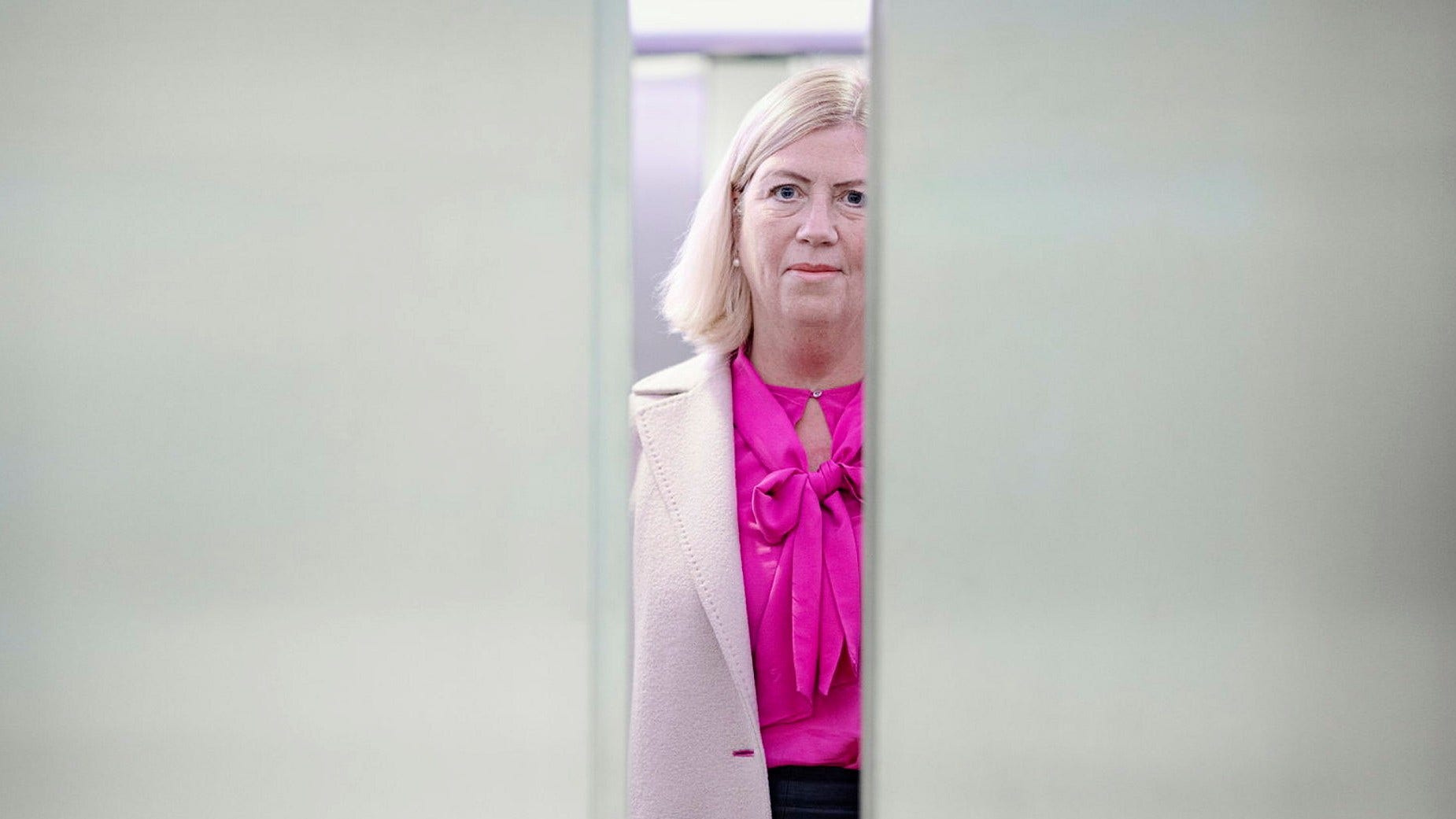 Ulla Sandborgh är regeringens nya samordnare i frågor om kalk och cement.