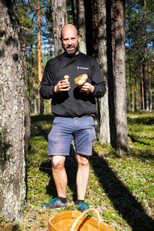 Robert Rimmevik hittar nya svampställen med satellitbilder över potentiellt bra marker.