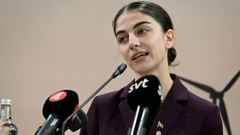 Klimat- och miljöminister Romina Pourmokhtari under en pressträff på fredagen.