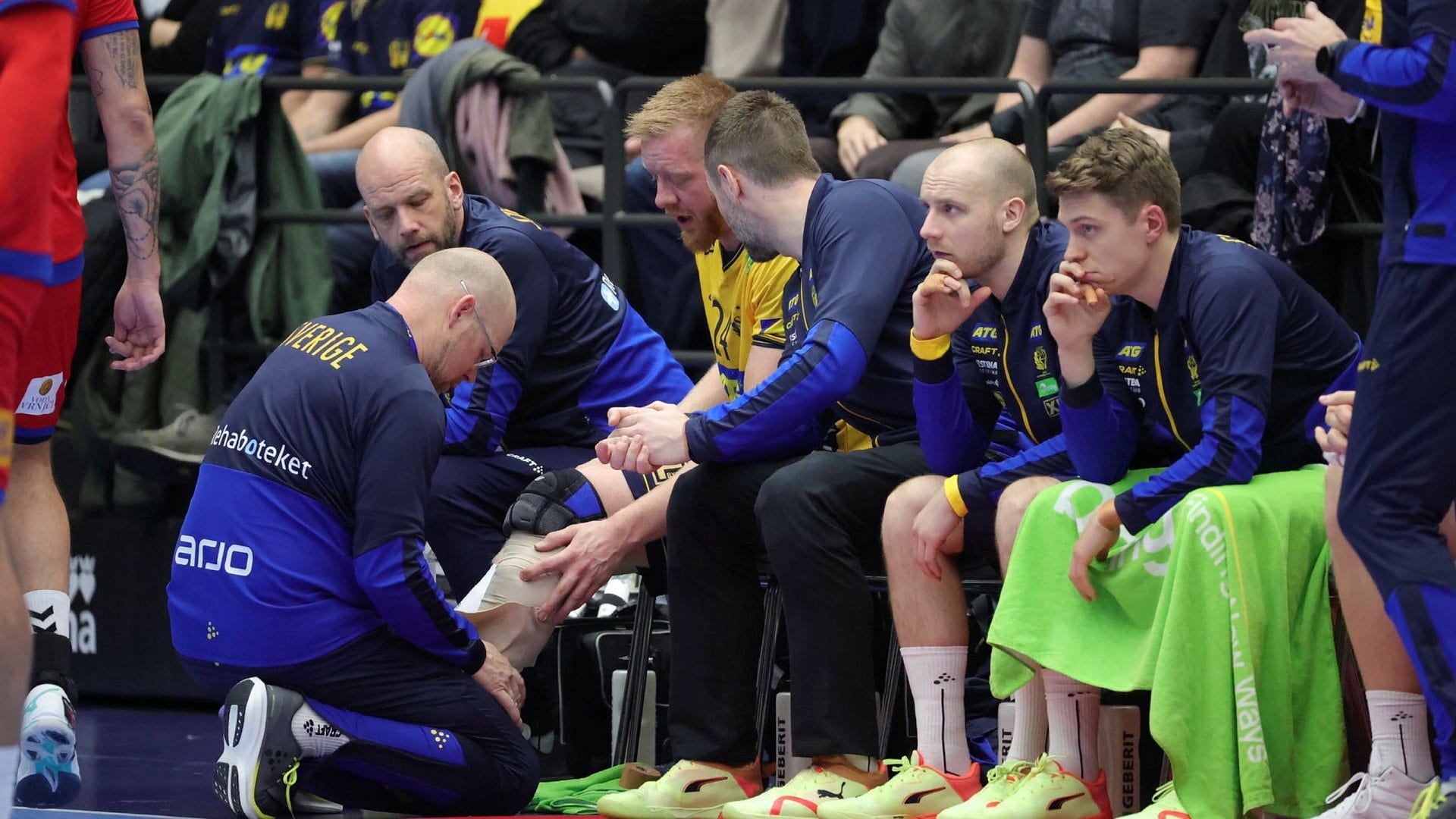 Gottfridsson and Bergendahl ready for the first handball World Cup