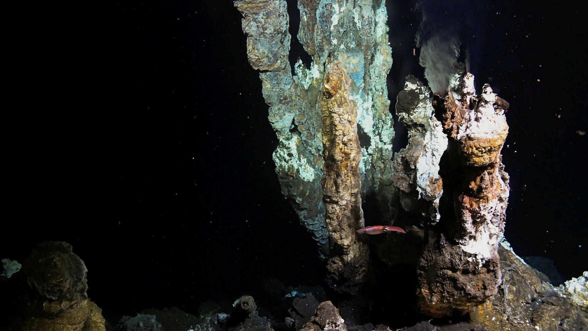 Hydrotermisk öppning där det strömmar ut hett vatten blandat med metaller och mineraler på cirka 500 meters djup.