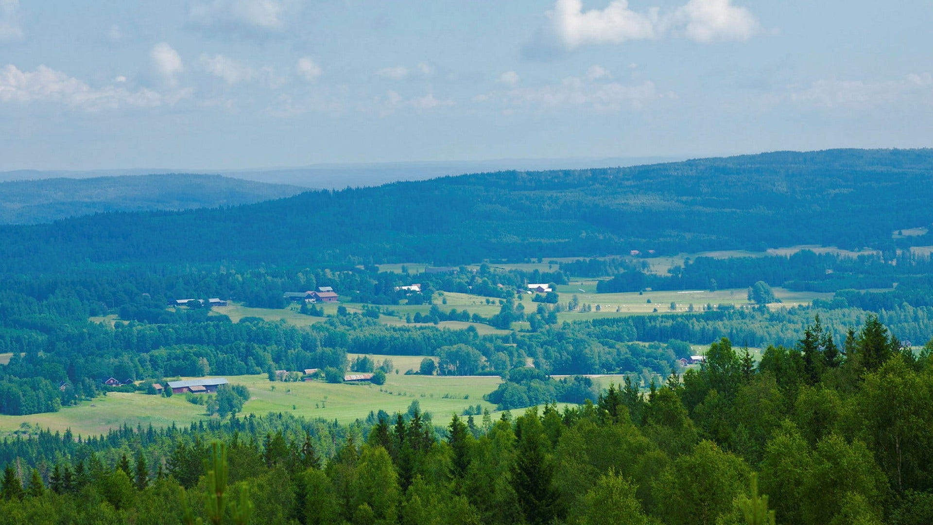 Vidsträckta skogar i det fagra Värmland.