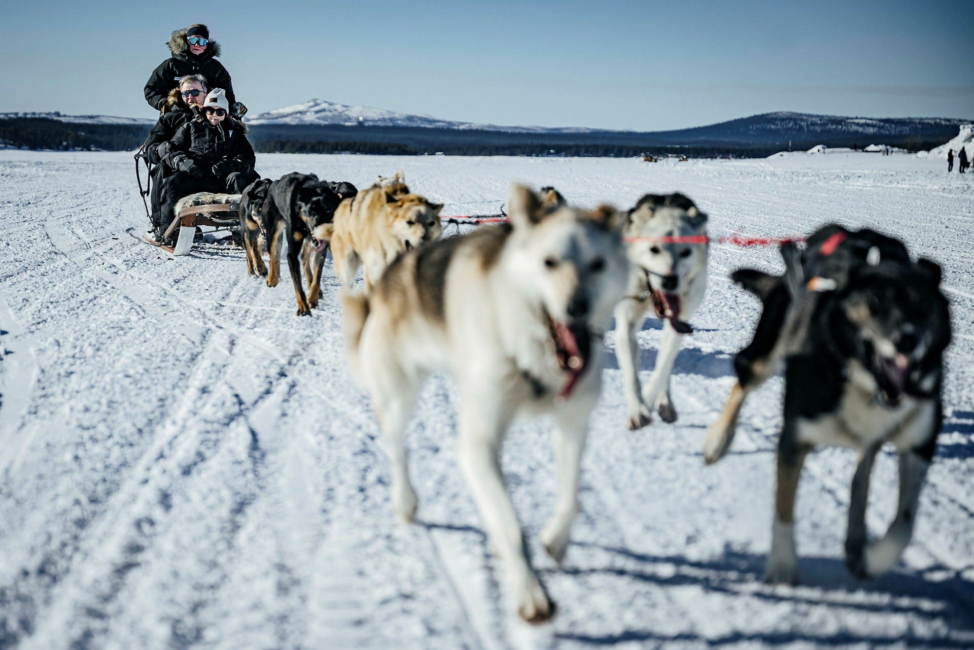 Klara Fjellborg som kör hundspannet är tionde generationen som härstammar från Jukkasjärvi.