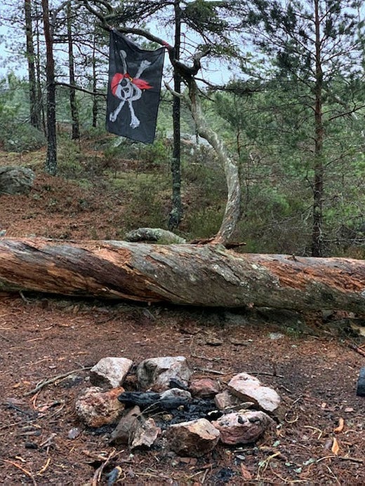 Det är vanligt att besökare i Tyresta nationalpark eldar på platser där det absolut inte är tillåtet.