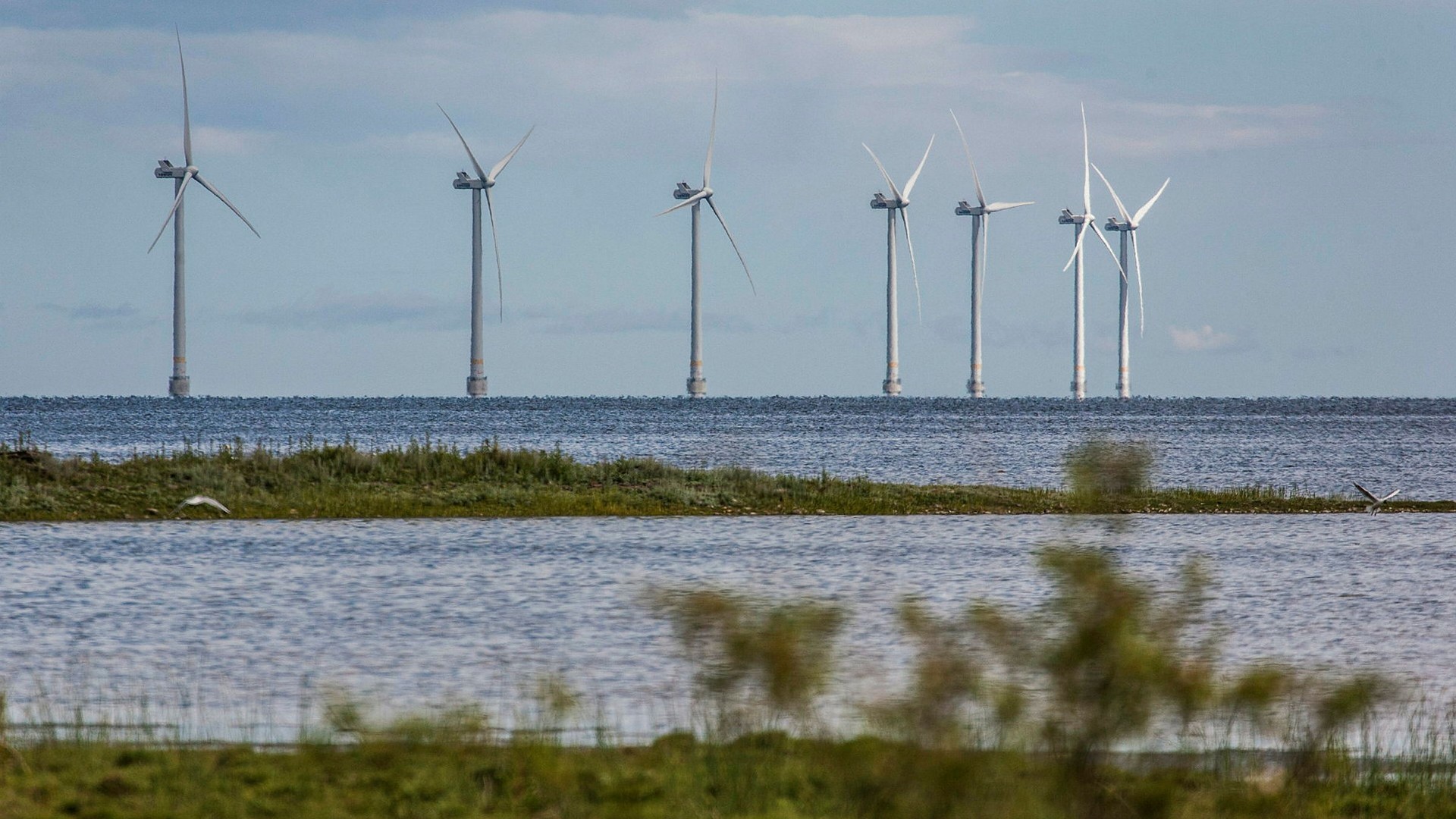 ”Försvaret Måste Säga Ja Till Havsbaserad Vindkraft” - DN.se