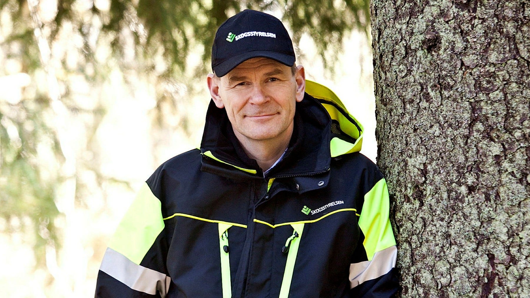 Skogsstyrelsens generaldirektör Herman Sundqvist.