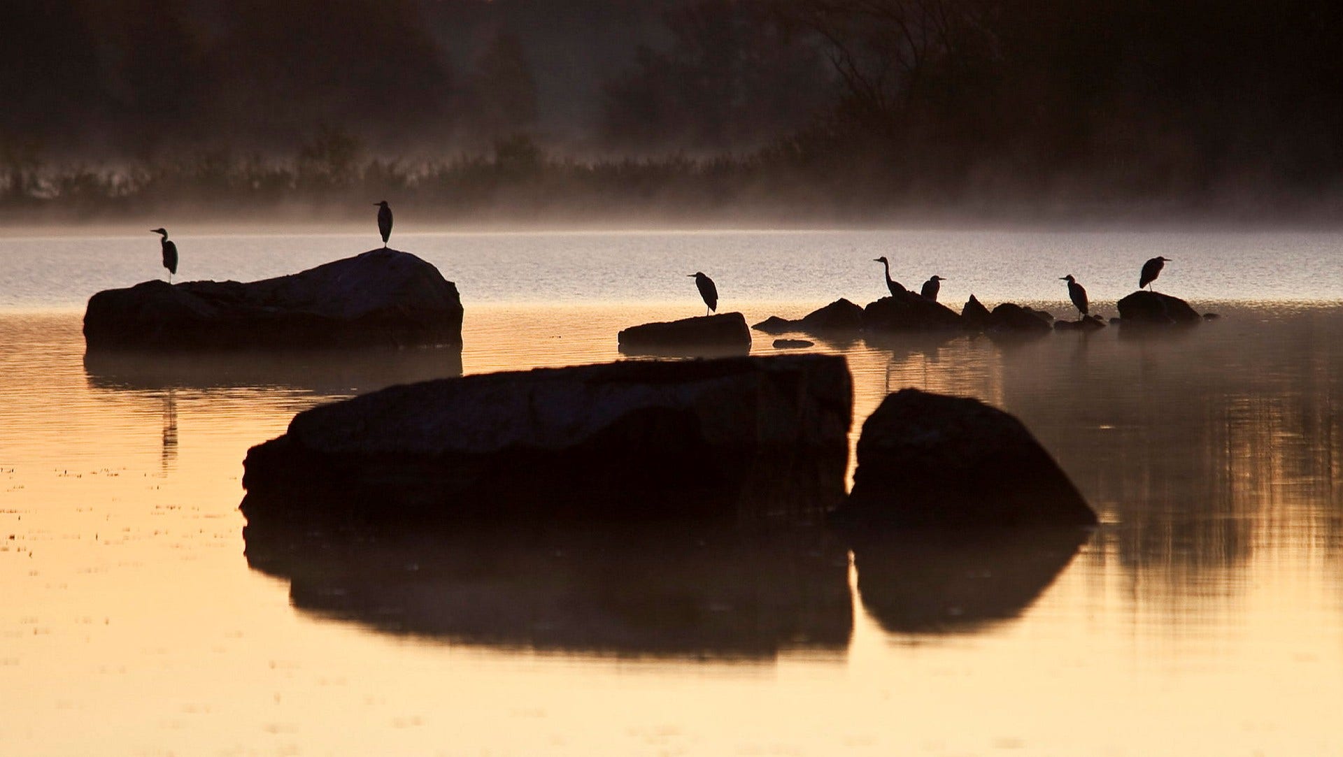 Naturens skönhet.
