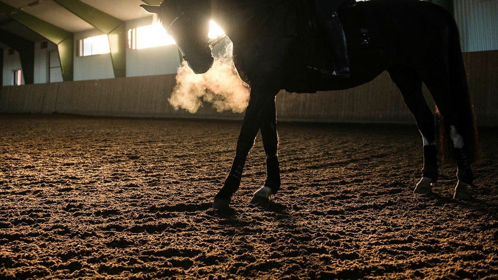 Un pilota svedese è stato sospeso per due anni. Archivia l'immagine.