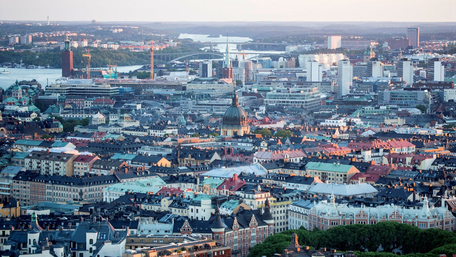 Stockholms stad har sedan halvårsskiftet en grupp specialister som arbetar med den svarta hyresmarknaden.